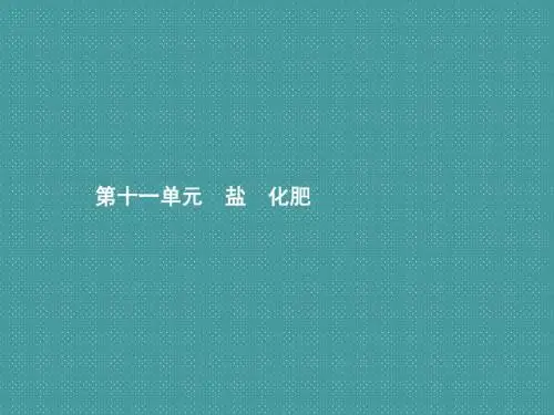 中考化学总复习第11单元盐化肥课件