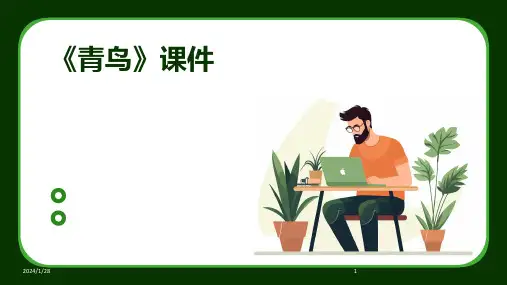 《青鸟》课件