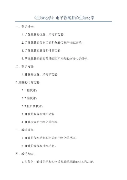 《生物化学》电子教案肝的生物化学