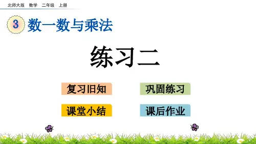 北师大版二年级上册数学课件：3_5 数一数与乘法练习二