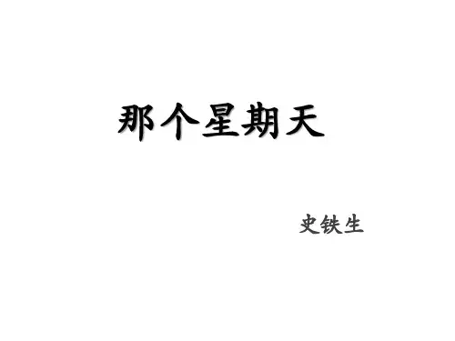 部编版六年级下册语文9那个星期天课件(共25张PPT)