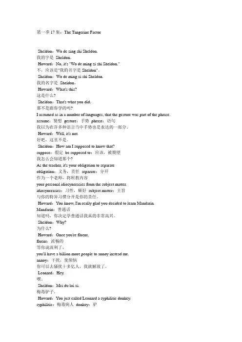 生活大爆炸剧本第一季 17集