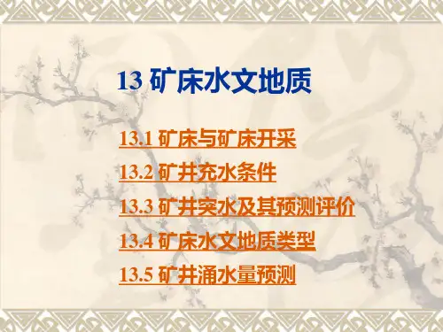13 矿床水文地质