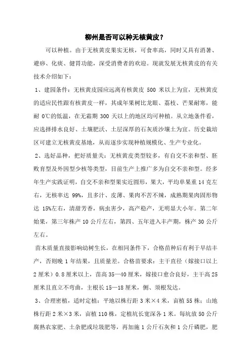 柳州是否可以种无核黄皮？