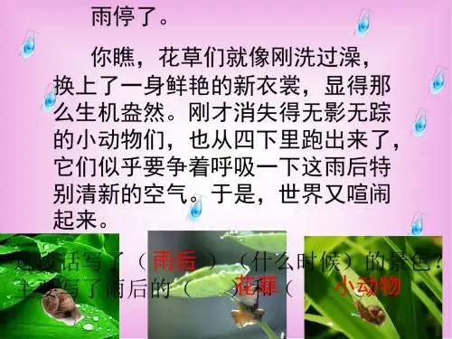 北师大版二年级下册语文ppt课件13.1雨后1