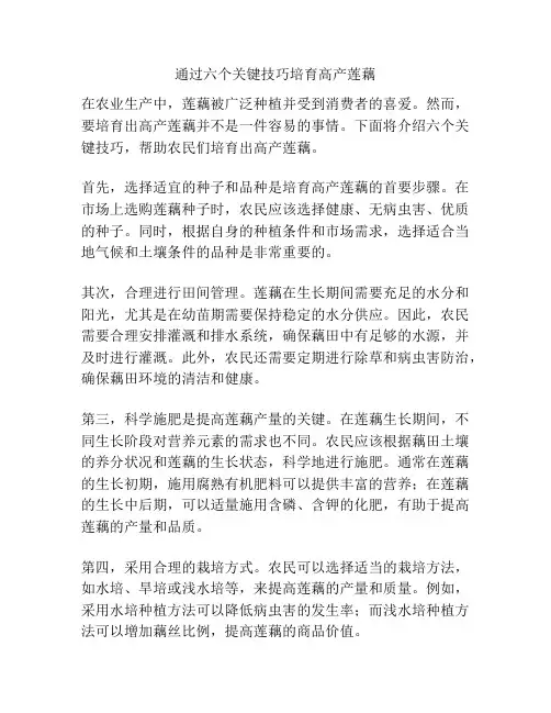 通过六个关键技巧培育高产莲藕