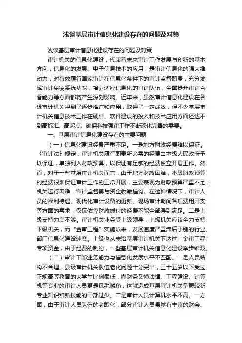 浅谈基层审计信息化建设存在的问题及对策
