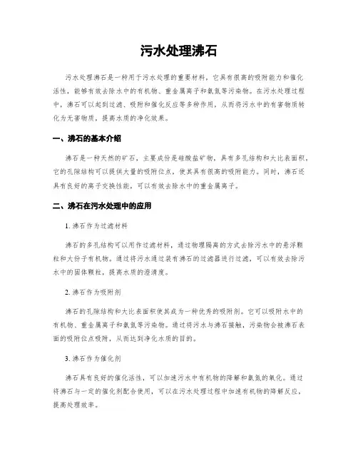 污水处理沸石
