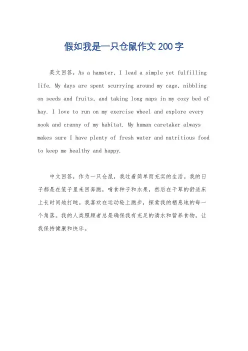 假如我是一只仓鼠作文200字