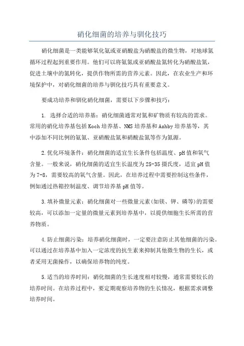 硝化细菌的培养与驯化技巧