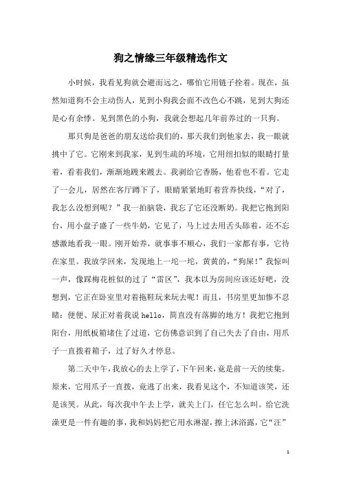 狗之情缘三年级精选作文