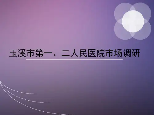 玉溪市场调研汇报