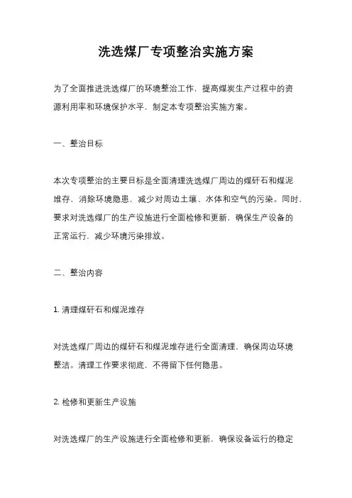 洗选煤厂专项整治实施方案