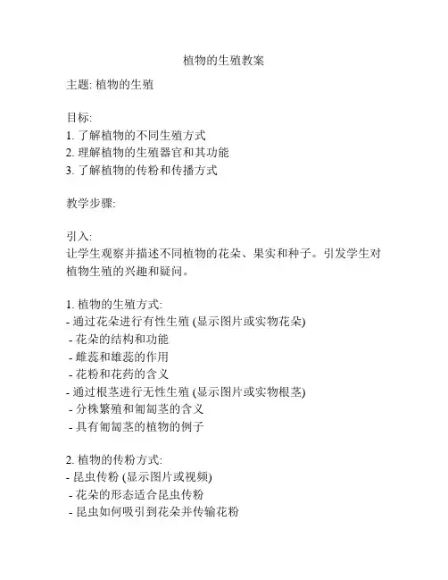 植物的生殖教案