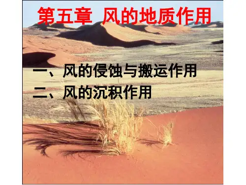 普通地质学课件：06第六章 风的地质作用