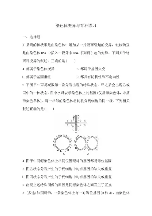 2025届高三生物一轮复习练习：染色体变异与育种