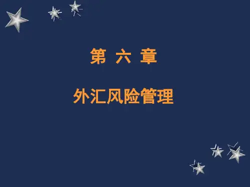 第六章  外汇风险g教学讲义