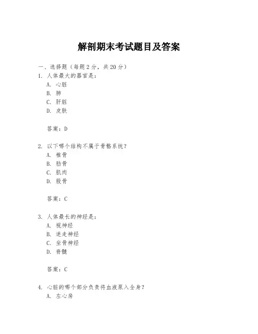 解剖期末考试题目及答案