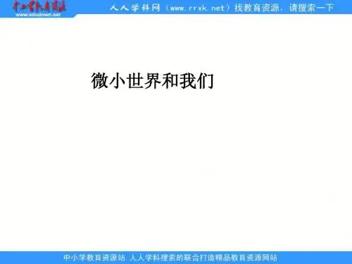 《微小世界和我们》ppt]