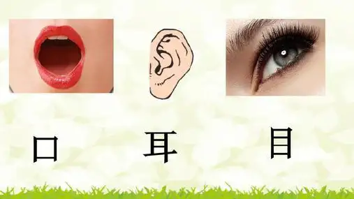 部编版人教版小学一年级语文上册《口耳目》优质课件