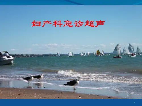 妇产科急诊彩超(98页)