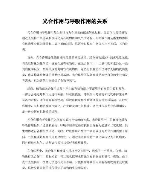 光合作用与呼吸作用的关系