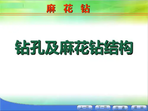 钻孔及麻花钻结构 PPT课件