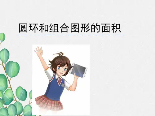 《圆环与组合图形的面积》课件 2022年苏教版小学数学精品PPT