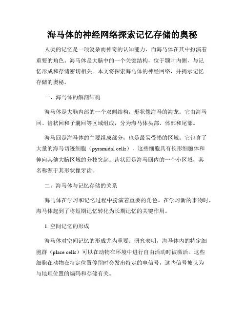 海马体的神经网络探索记忆存储的奥秘
