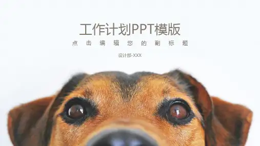 工作计划PPT模版