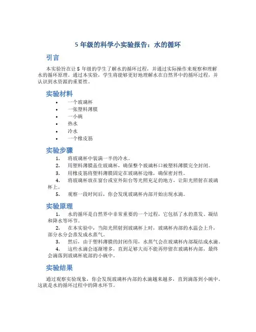 5年级的科学小实验报告