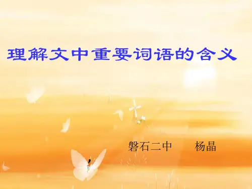 理解文中重要词语的含义