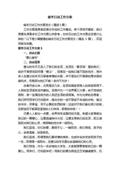 暖冬行动工作方案范文（精选5篇）