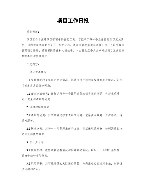 项目工作日报