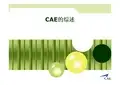 CAE应用实例