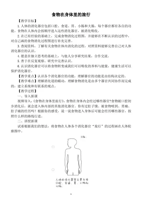 小学科学教科版四年级上册第二单元《食物在身体里的旅行》教案