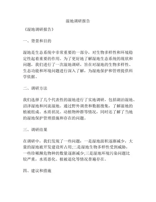 湿地调研报告