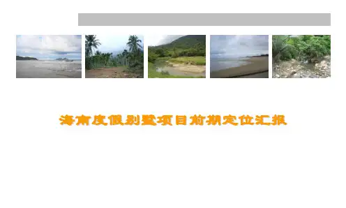 海南度假别墅项目前期定位汇报_298PPT