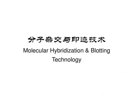 分子杂交和印迹技术-文档资料