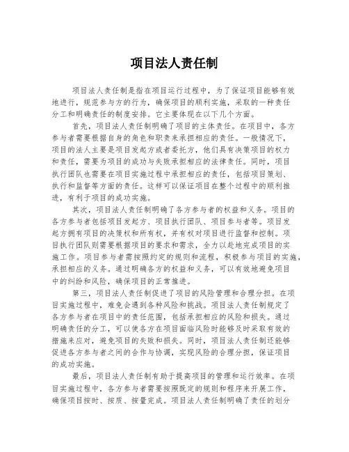 项目法人责任制