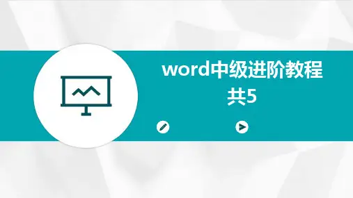 word中级进阶教程共5