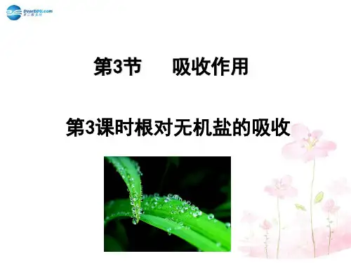北师大初中生物七上《第3单元5第3节 吸收作用》PPT课件 (10)