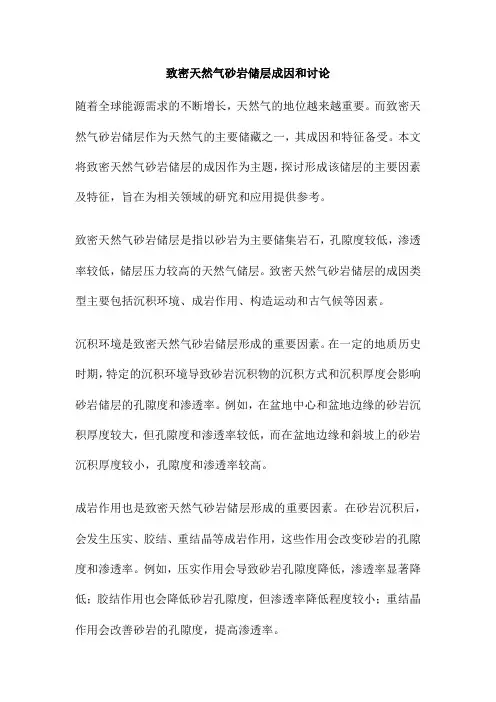 致密天然气砂岩储层成因和讨论