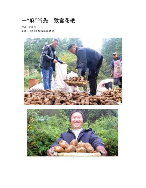 一“麻”当先　致富花艳 