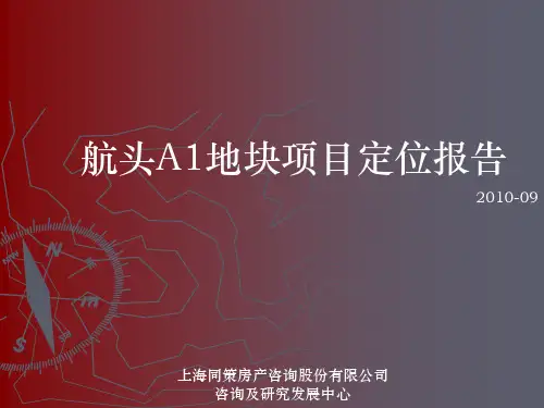 上海航头a1地块项目分析讲解