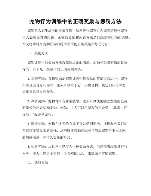 宠物行为训练中的正确奖励与惩罚方法