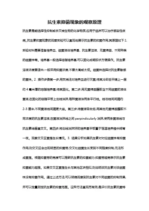 抗生素抑菌现象的观察原理