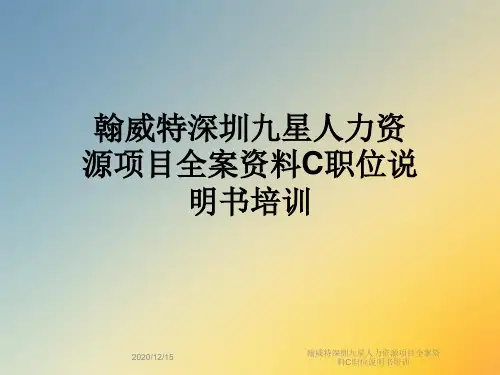 翰威特深圳九星人力资源项目全案资料C职位说明书培训