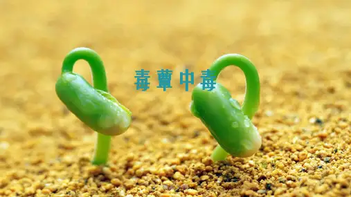 《毒蕈中毒》幻灯片PPT