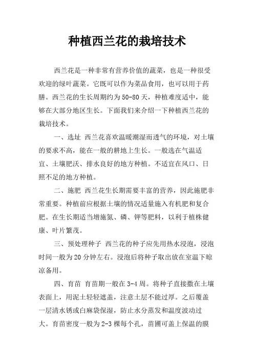 种植西兰花的栽培技术